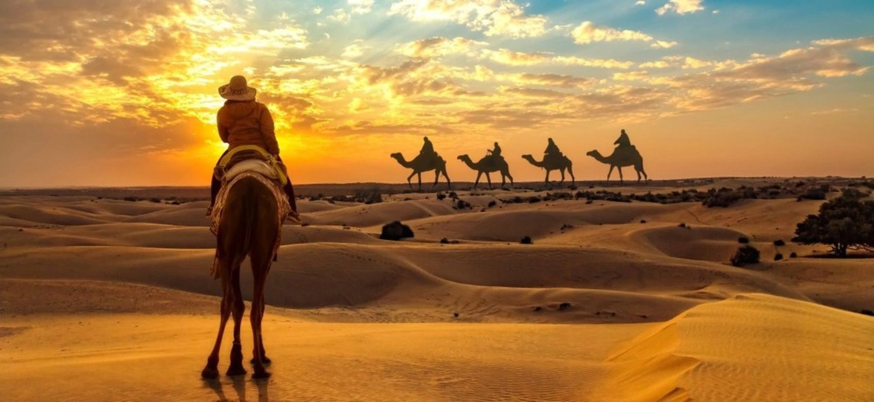 Rajasthan Tour Packages
