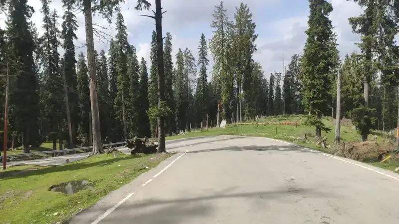 Kashmir