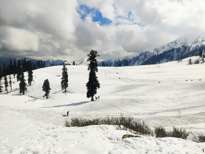 Kashmir