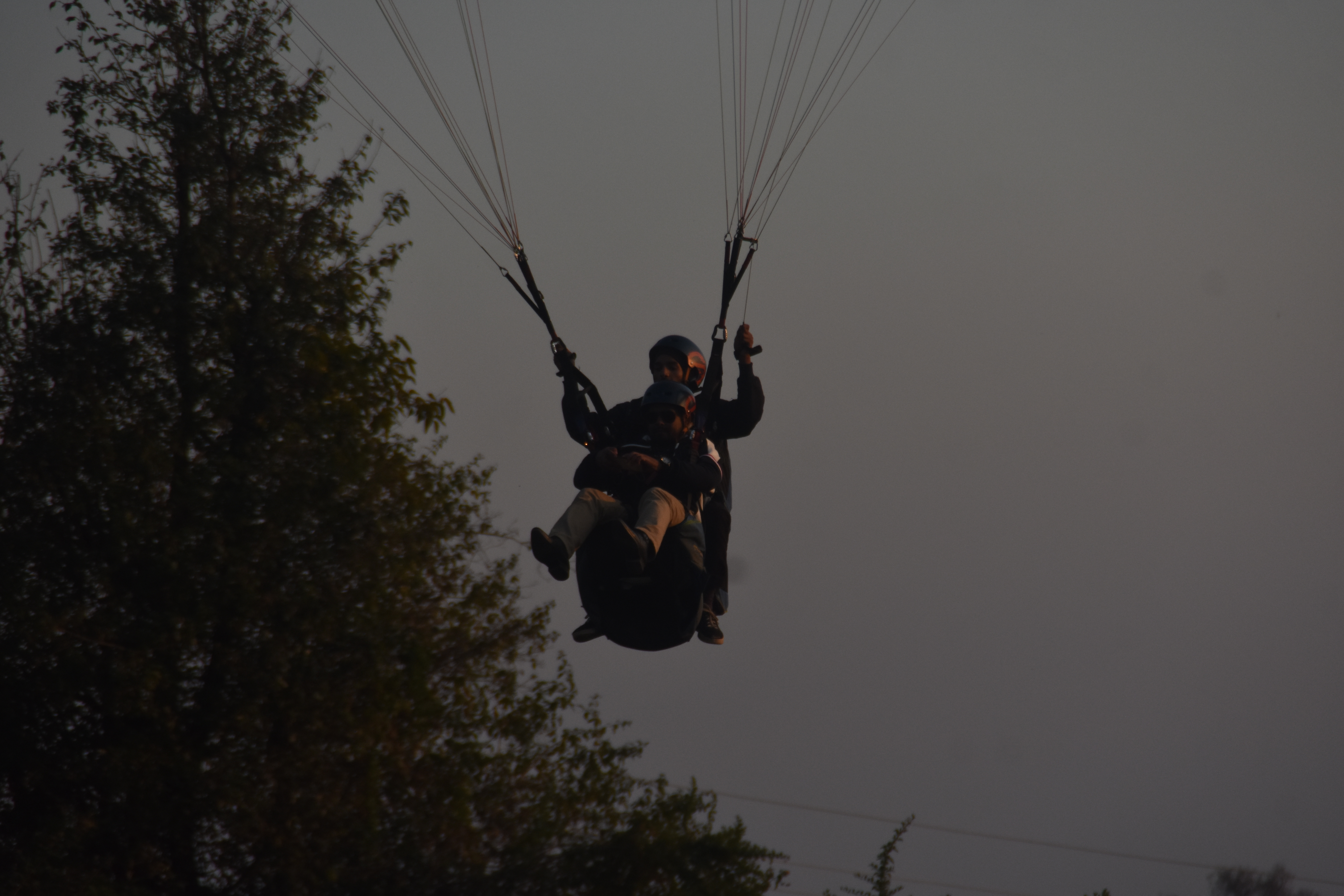 Paragliding Bir Billing