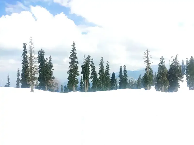 Kashmir Valley Experience