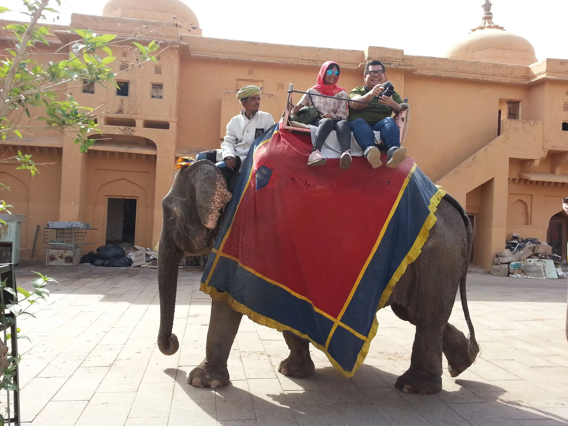 Jaipur City Tour and Amber Fort