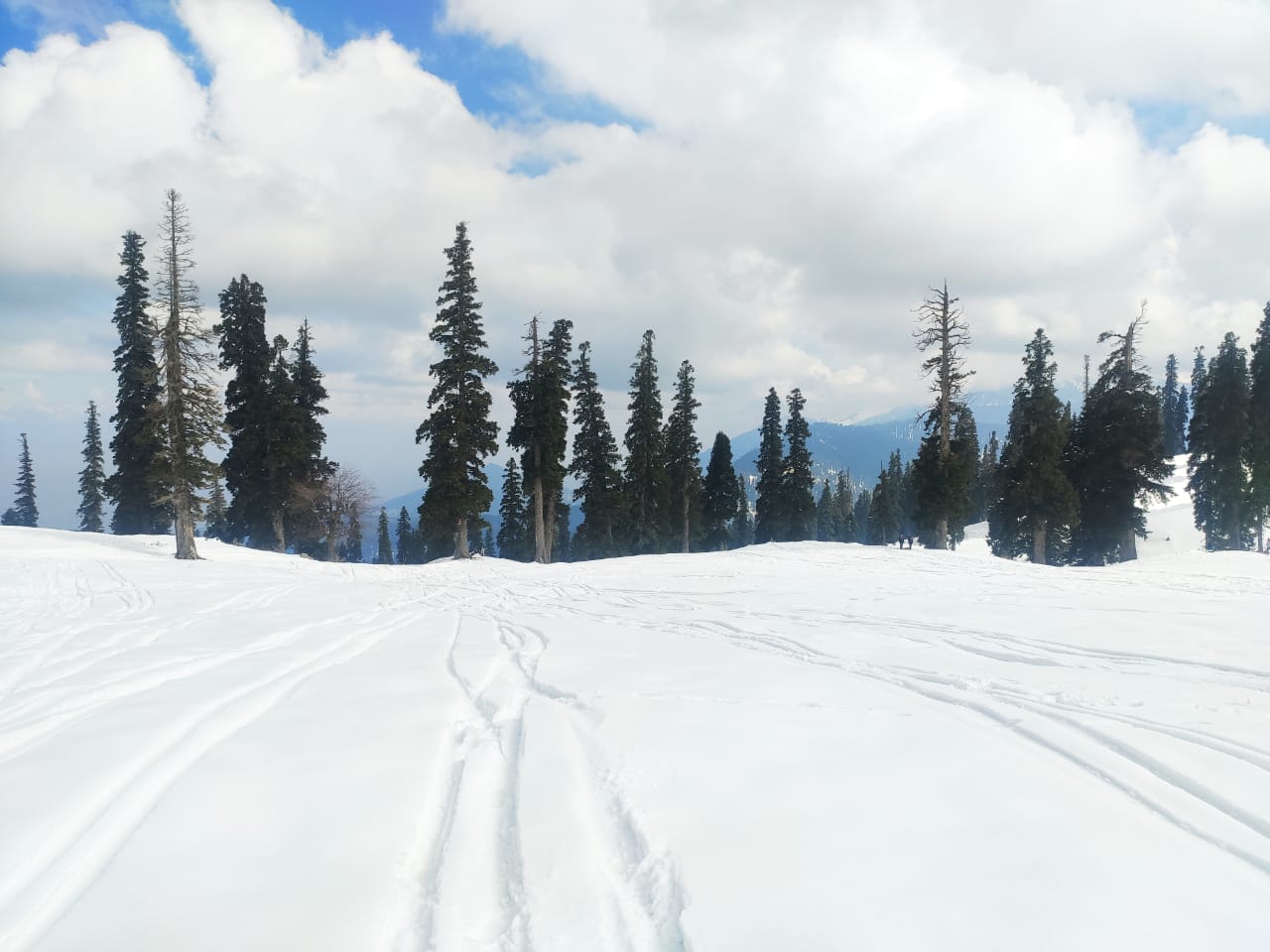 Hill Stations and Himalayan Escapes