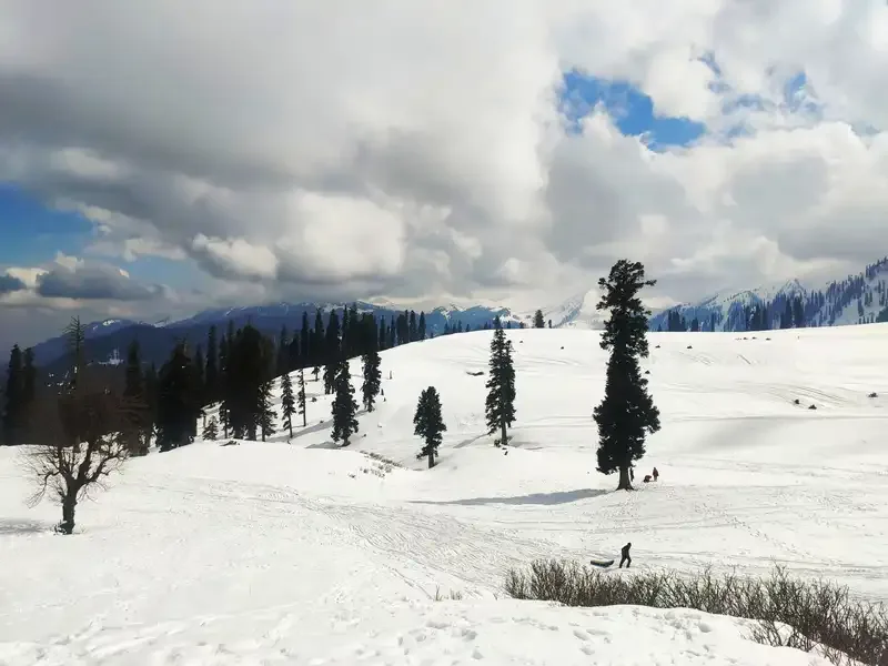 Golden Triangle with Kashmir Holiday